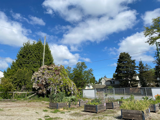 Vancouver Community Garden