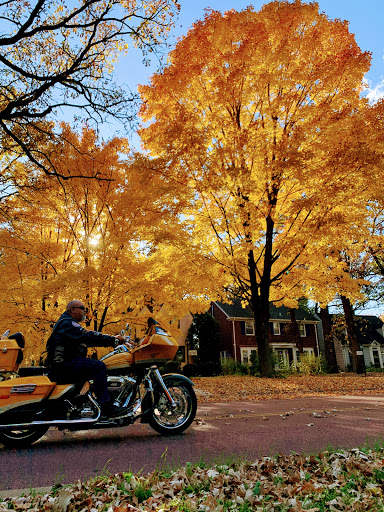 Bicycle Rental Service «Freewheel Bike Midtown Bike Center», reviews and photos, 2834 10th Ave S, Minneapolis, MN 55407, USA