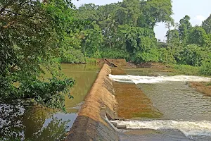 Pulinthanam Check Dam image