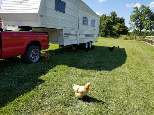 Campground «Hickory Hills Campground», reviews and photos, 499 Dixie Hill Rd, Spencer, IN 47460, USA