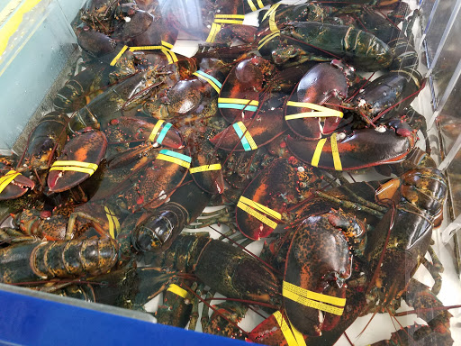 Seafood Market «Parsons Lobsters», reviews and photos, 64 Eagle Lake Rd, Bar Harbor, ME 04609, USA