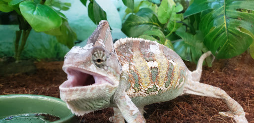 Pet Supply Store «Petco Animal Supplies», reviews and photos, 341 Gloucester Crossing Rd, Gloucester, MA 01930, USA