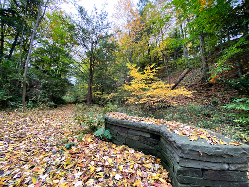 Stadium «Barton Hall», reviews and photos, 117 Statler Dr, Ithaca, NY 14853, USA