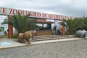 Zoo Queretaro Wameru image