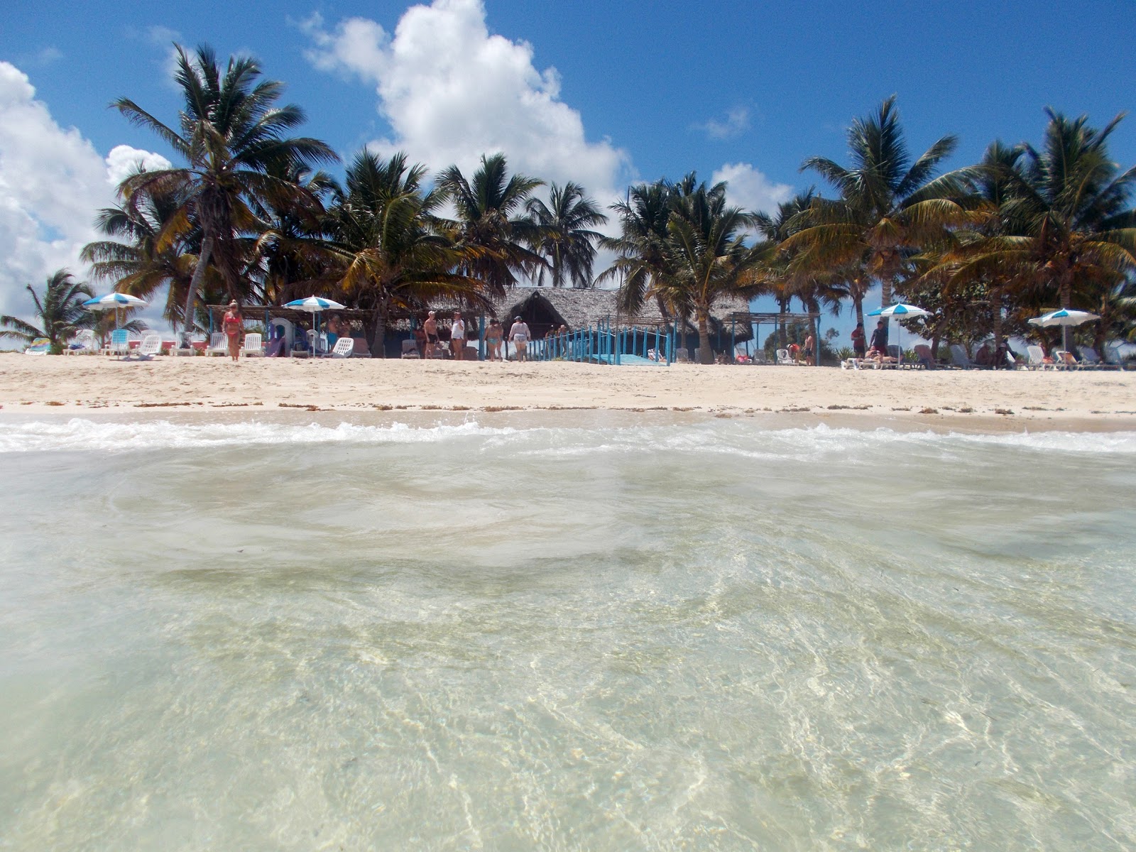 Playa Bonita'in fotoğrafı imkanlar alanı