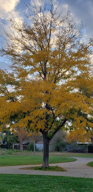 Fruitdale Park - photo 30