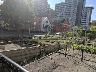 The Centretown Community Garden Project
