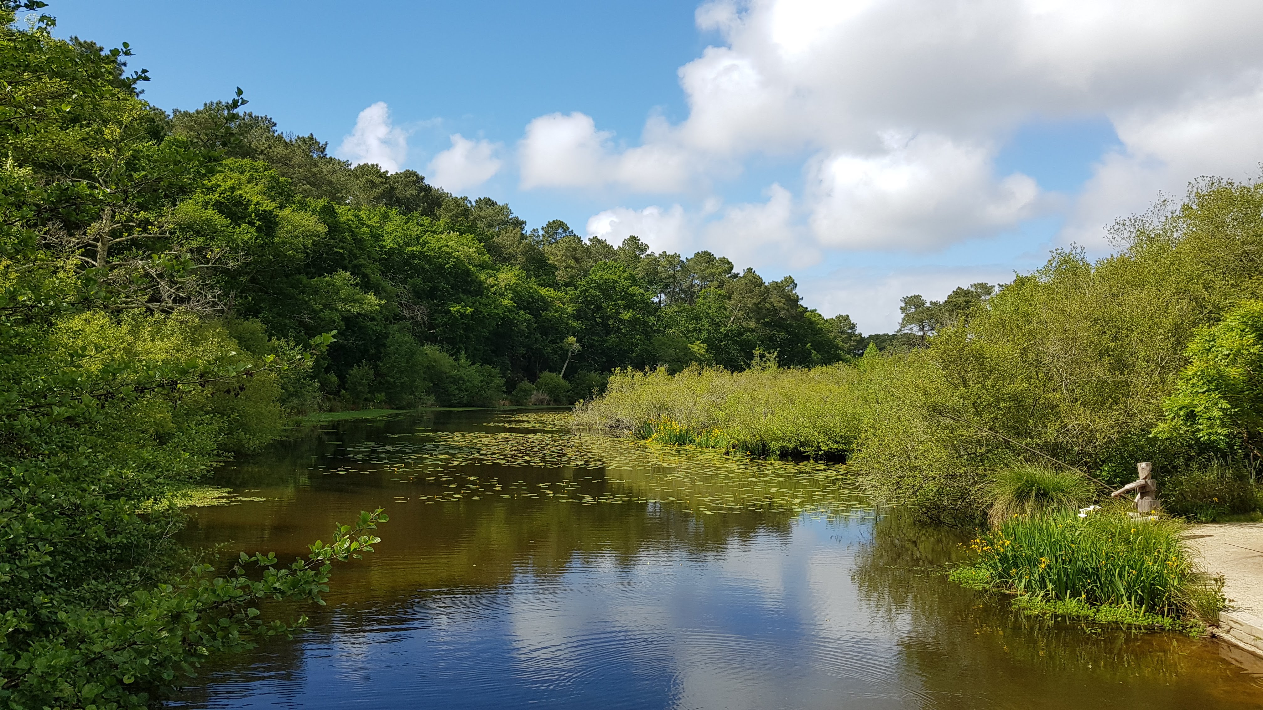 Photo n° 10 de l'avis de Mario.o fait le 11/05/2019 à 17:45