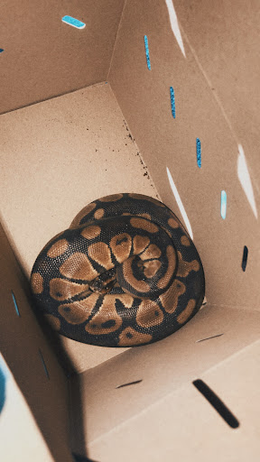 Pet Supply Store «Petco Animal Supplies», reviews and photos, 7400 Rivers Ave z, North Charleston, SC 29406, USA