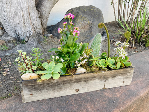 Florist «Fleur De Lis Florist», reviews and photos, 811 Castro St, Mountain View, CA 94041, USA