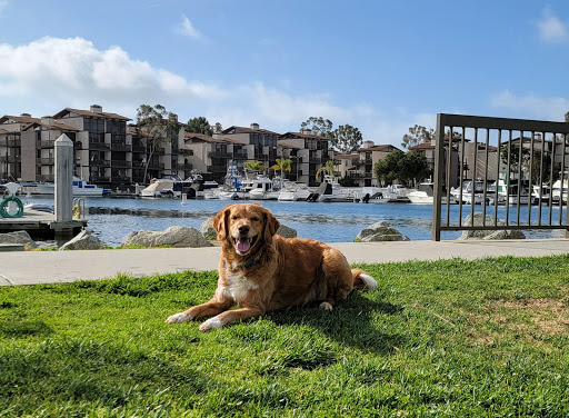 Park «Jack Nichol Park», reviews and photos, 6200 Costa Del Sol Way, Long Beach, CA 90803, USA