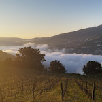 Photo n°5 de l'avis de cristina.a fait le 05/02/2024 à 08:08 sur le  Hotel Douro Scala à Cidadelhe