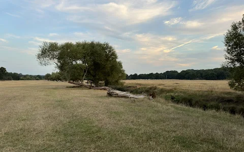 Kingston Gate, Richmond Park image