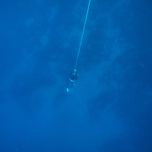 Deephumans Freediving School