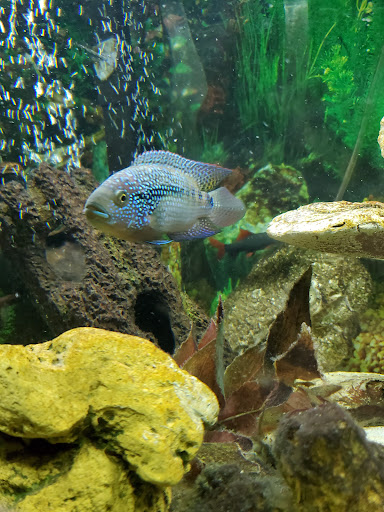 Pet Store «Pet Zone», reviews and photos, 1620 Marion-Mt Gilead Rd, Marion, OH 43302, USA