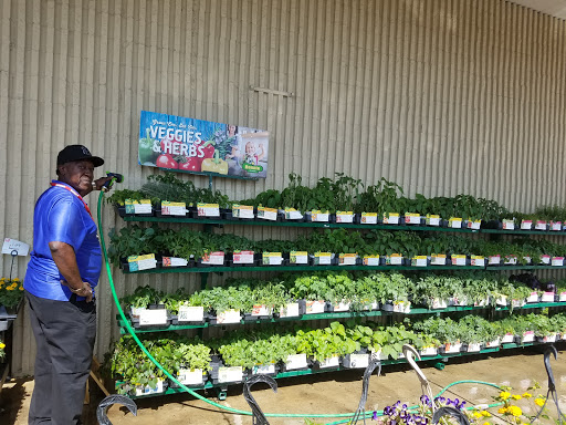 Discount Store «Kmart», reviews and photos, 2185 Reeves St, Dothan, AL 36303, USA