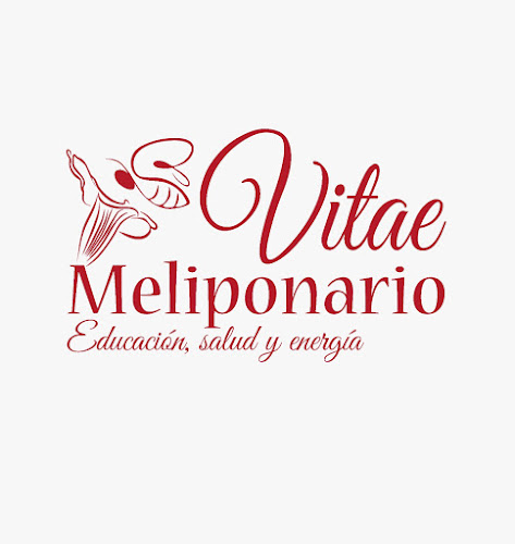 Opiniones de Meliponario Vitae en Quevedo - Heladería