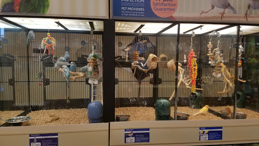 PetSmart, 1020 Veterans Pkwy #900, Clarksville, IN 47129, USA, 