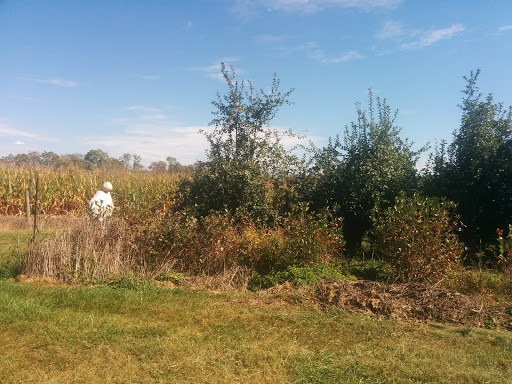 Cider Mill «Distillery Lane Ciderworks», reviews and photos, 5533 Gapland Rd, Jefferson, MD 21755, USA