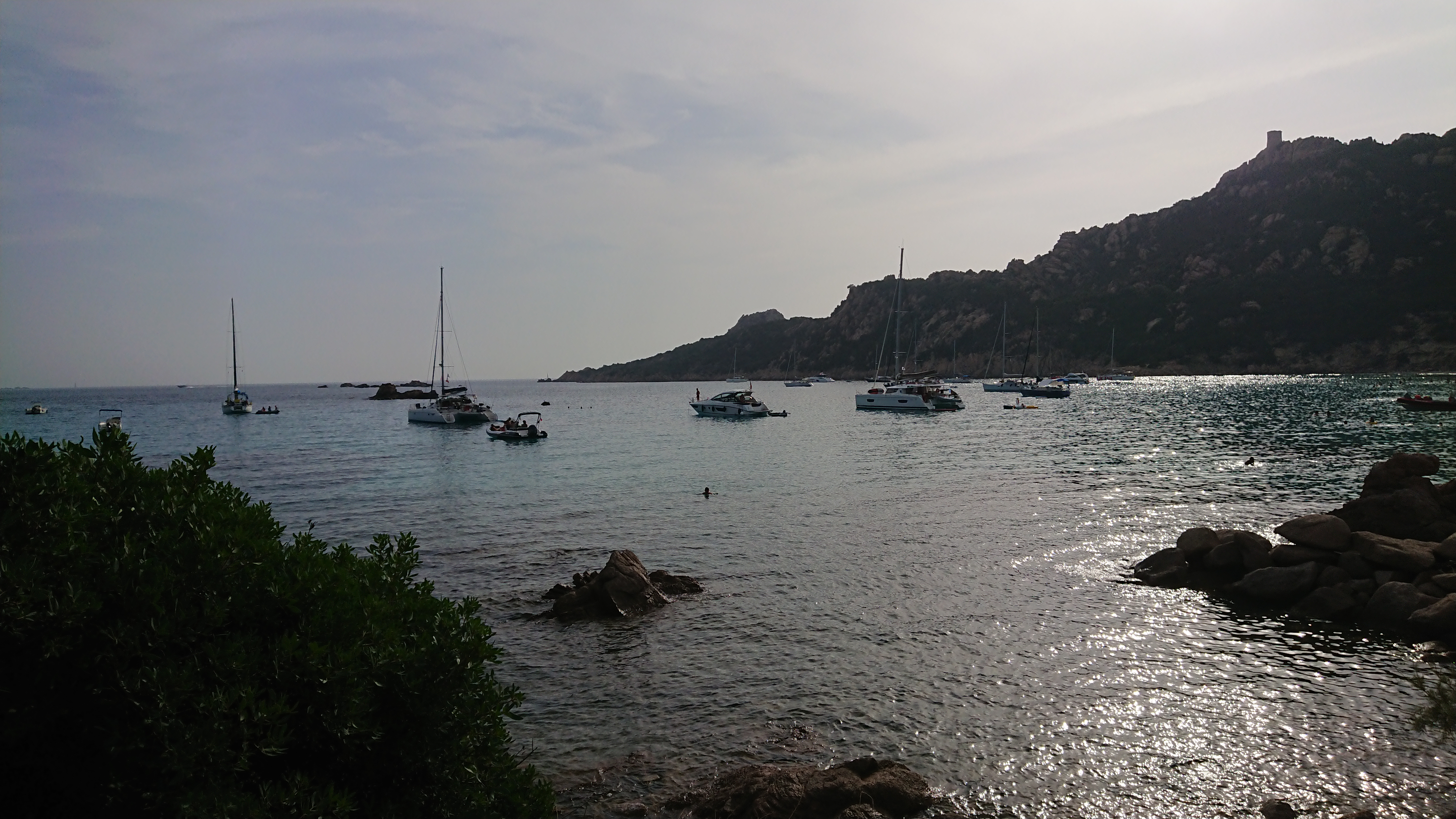 Photo n° 1 de l'avis de Pro. fait le 08/08/2019 à 17:04