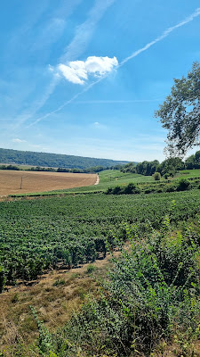 Champagne Charpentier à Charly-sur-Marne
