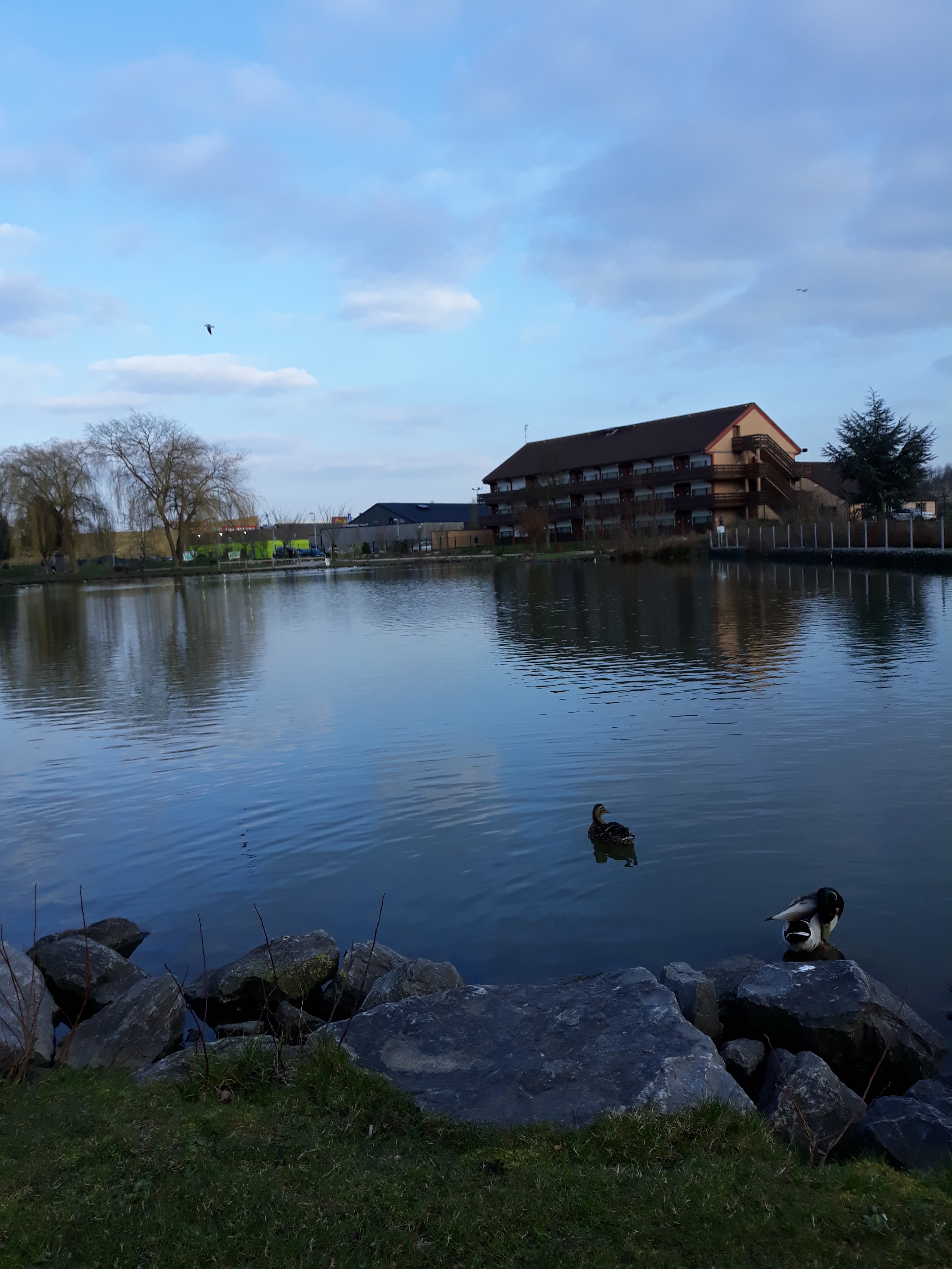 Photo n° 6 de l'avis de Trabelsi.a fait le 24/03/2018 à 23:08