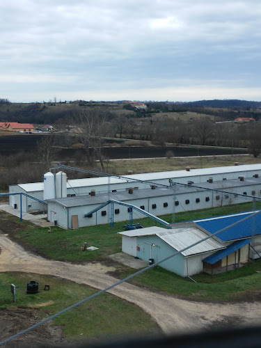 Opinii despre Váli Kft. în Felcsút - Élelmiszerüzlet