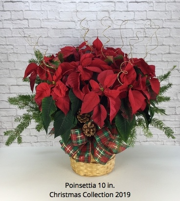 Florist «Fort Myers Floral Designs», reviews and photos, 11480 S Cleveland Ave, Fort Myers, FL 33907, USA