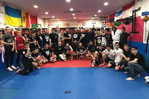 Lions Fight Kickboxing, MMA & Personal Training image