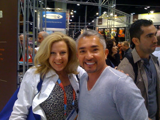 Pet Supply Store «Petport Pet Supply and Grooming Salon», reviews and photos, 40 Main St, Northport, NY 11768, USA