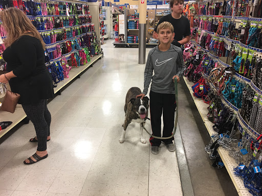 Pet Supply Store «PetSmart», reviews and photos, 2677 E Main St, Plainfield, IN 46168, USA