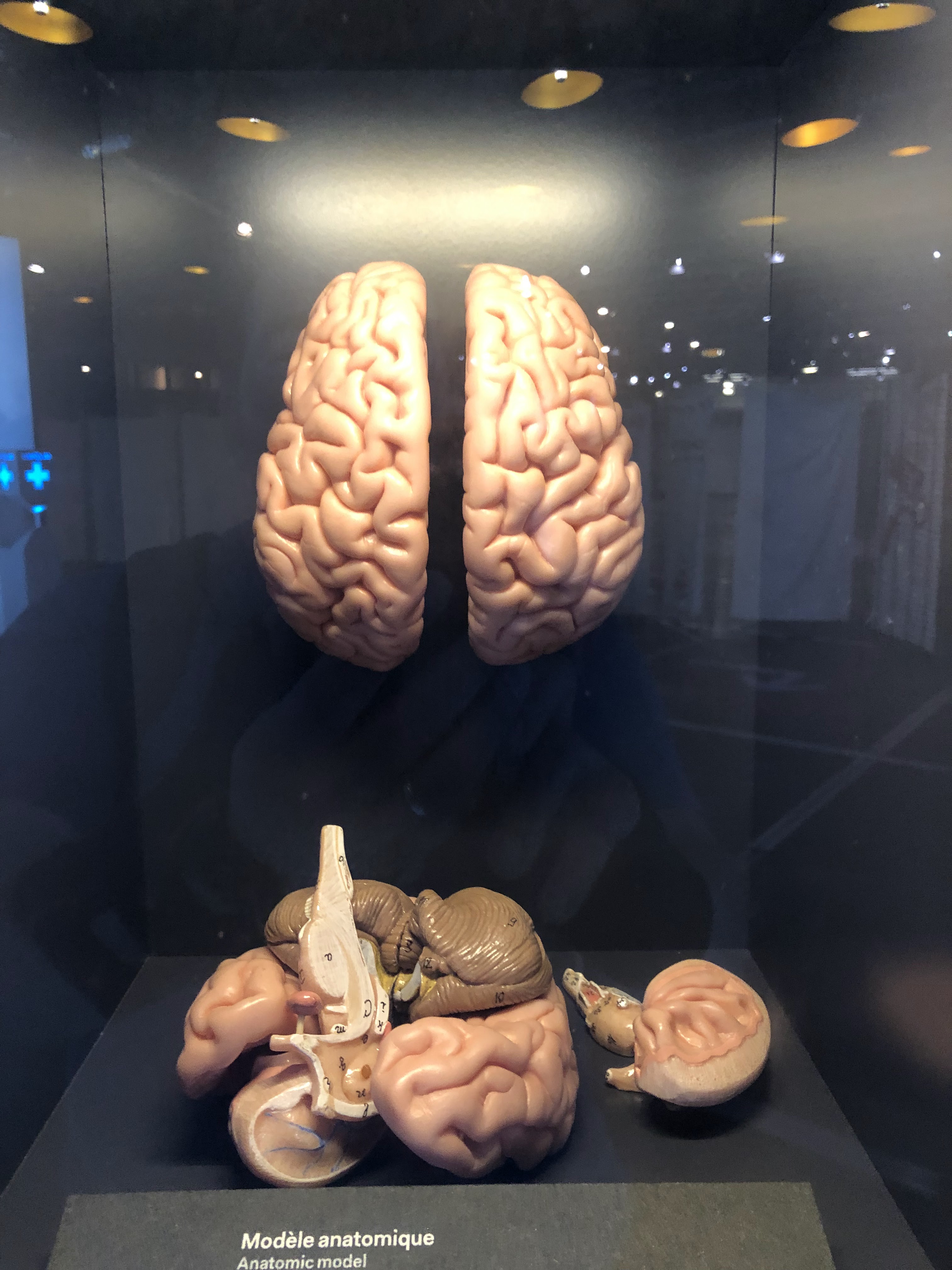 Photo n° 8 de l'avis de Nicolas.a fait le 07/06/2022 à 05:35