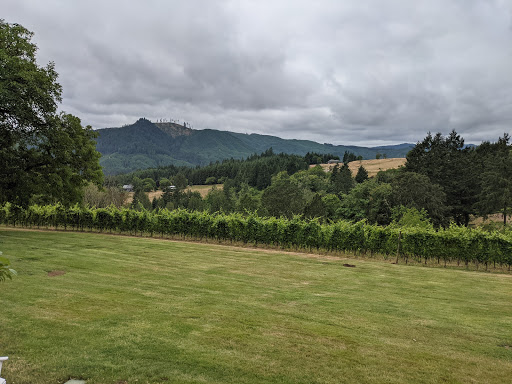 Winery «David Hill Vineyards & Winery», reviews and photos, 46350 NW David Hill Rd, Forest Grove, OR 97116, USA