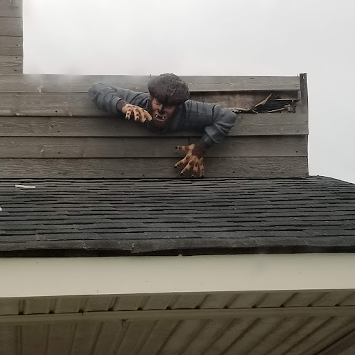 Surplus Store «Moyock Military Surplus», reviews and photos, 955 Caratoke Hwy, Moyock, NC 27958, USA