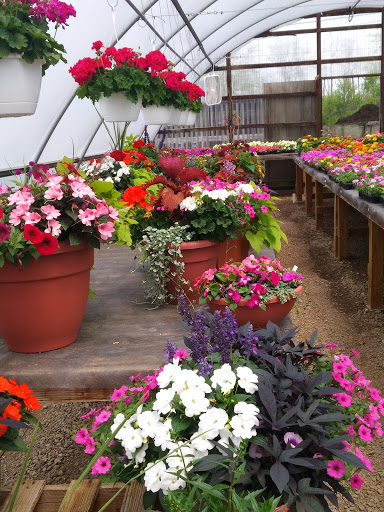 Florist «Burkhart Greenhouse & Garden», reviews and photos, 1530 E Central Ave, Miamisburg, OH 45342, USA