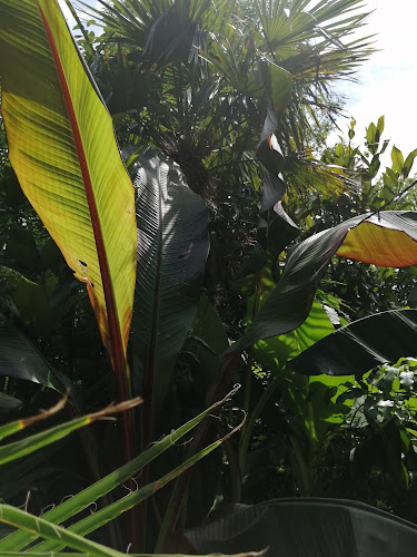 Kecskemét, Felsőcsalános tanya 33/C, 6000