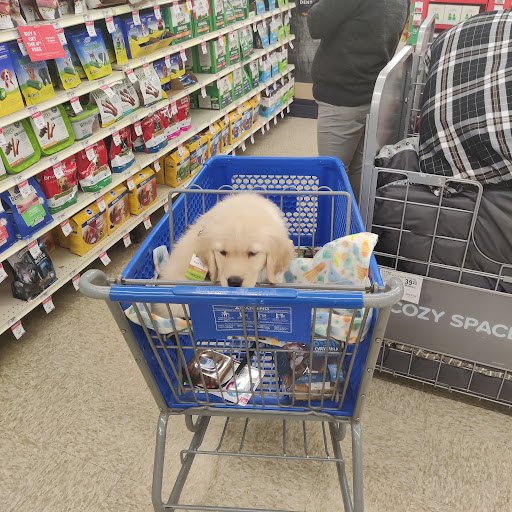 Pet Supply Store «PetSmart», reviews and photos, 2026 Lincoln Way E, Massillon, OH 44646, USA