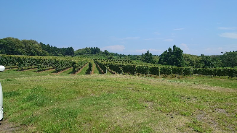 北海道ワイン 能登ヴィンヤード