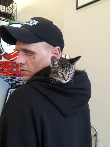 Pet Supply Store «Pet Supplies Plus», reviews and photos, 22124 Ecorse Rd, Taylor, MI 48180, USA