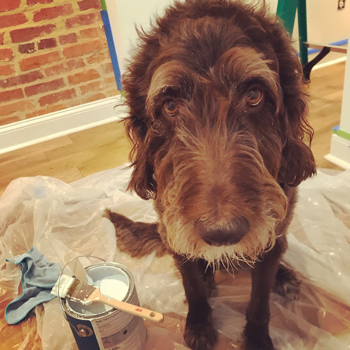 Paint Store «Lebanon Paint & Decorating», reviews and photos, 51 Main St, West Lebanon, NH 03784, USA