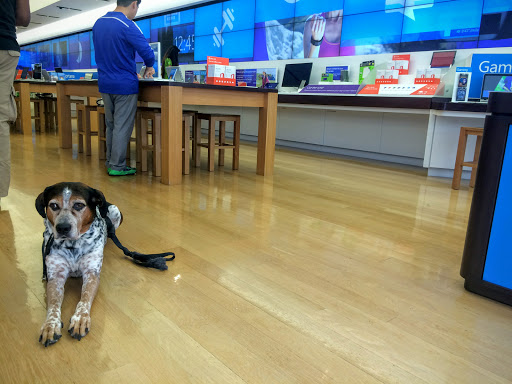 Computer Store «Microsoft Store», reviews and photos, 7007 Friars Rd #860, San Diego, CA 92108, USA