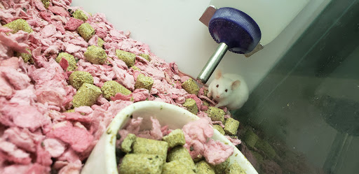 Pet Supply Store «Petco Animal Supplies», reviews and photos, 801 W Lake Ave, Peoria, IL 61614, USA