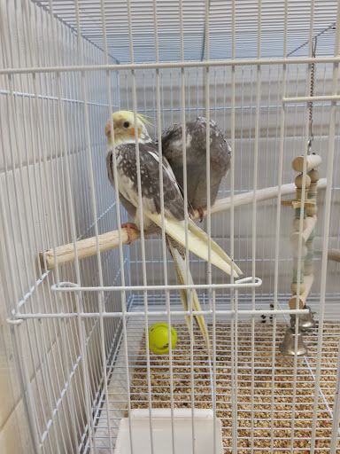 Pet Store «Animal Ark», reviews and photos, 175 S 500 E St, American Fork, UT 84003, USA