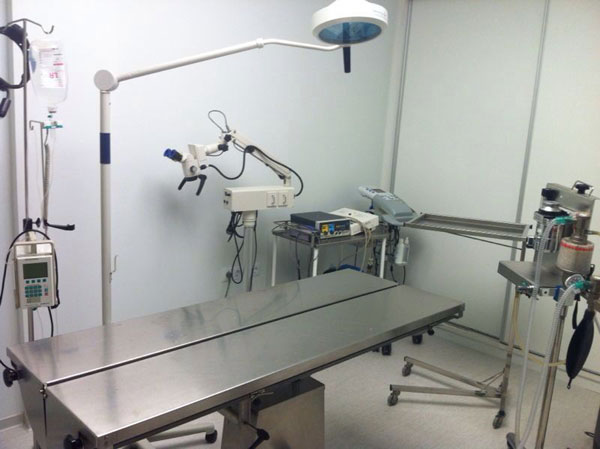 Clínica Veterinaria San Luis