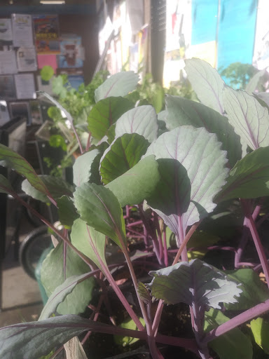 Grocery Store «Dan & Whits General Store», reviews and photos, 319 S Main St, Norwich, VT 05055, USA