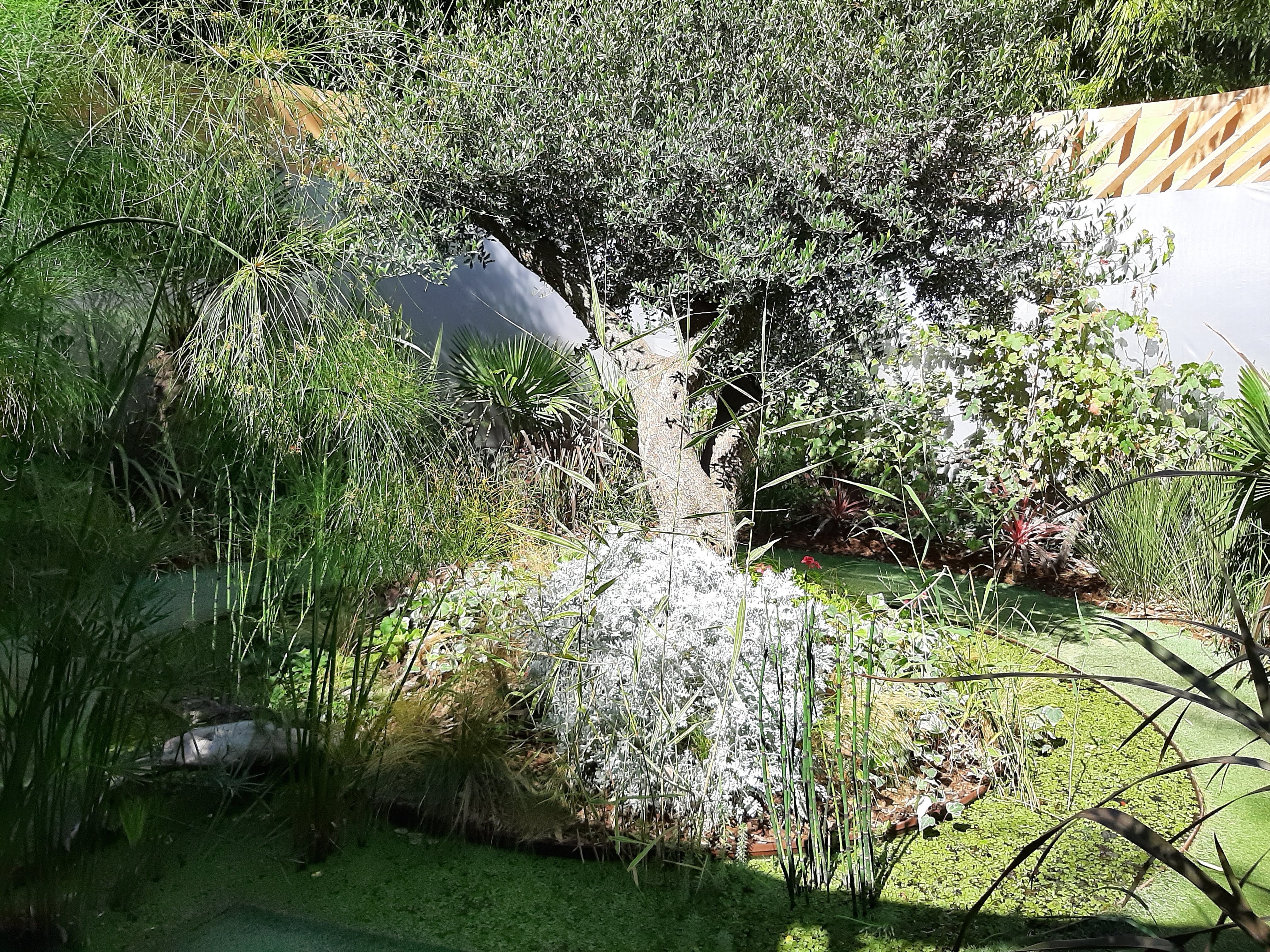 Photo n° 17 de l'avis de Jean.v fait le 21/09/2019 à 21:17