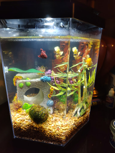 Pet Supply Store «Petco Animal Supplies», reviews and photos, 15475 Annapolis Rd #100, Bowie, MD 20715, USA