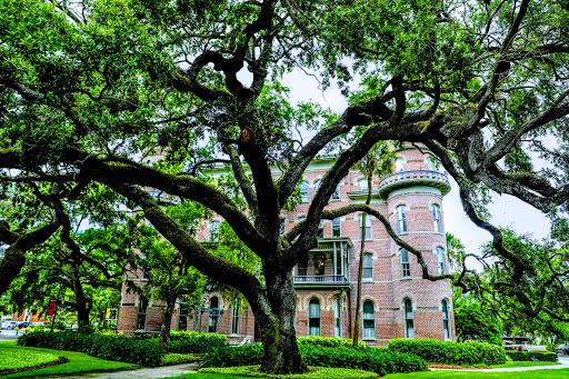 Museum «Henry B. Plant Museum», reviews and photos, 401 W Kennedy Blvd, Tampa, FL 33606, USA