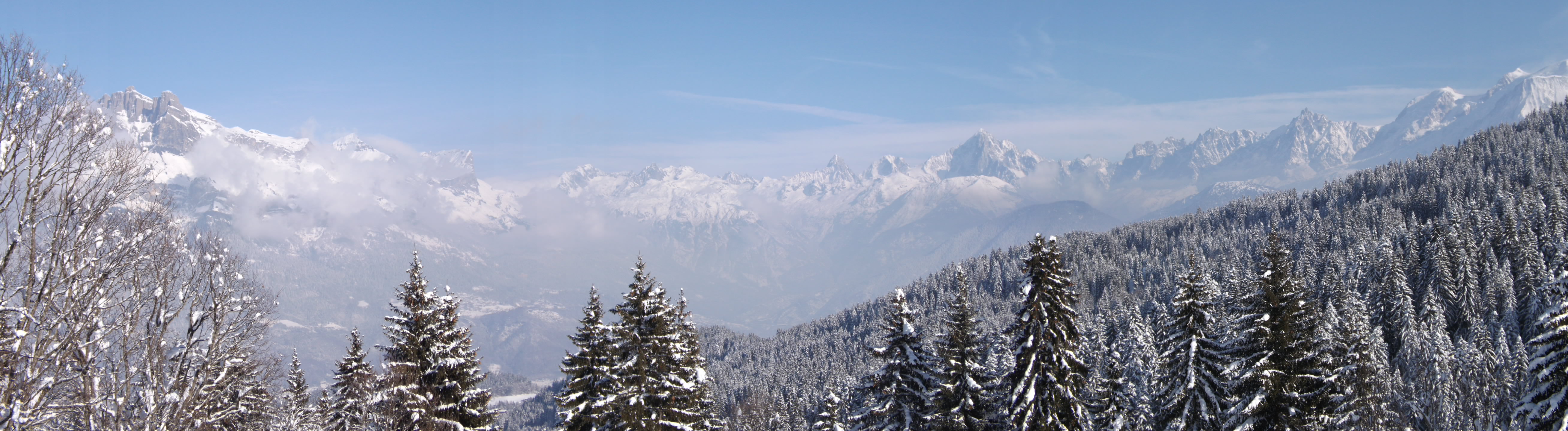 Photo n° 8 de l'avis de Sylvain.� fait le 27/11/2022 à 10:09