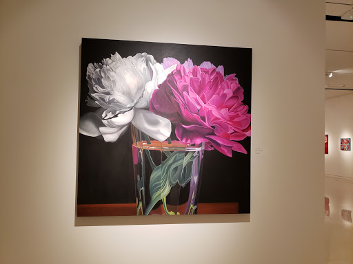 Museum «Fred Jones Jr Museum of Art», reviews and photos, 555 Elm Ave, Norman, OK 73019, USA